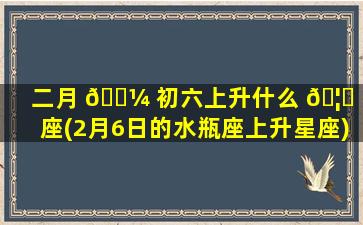 二月 🌼 初六上升什么 🦟 星座(2月6日的水瓶座上升星座)